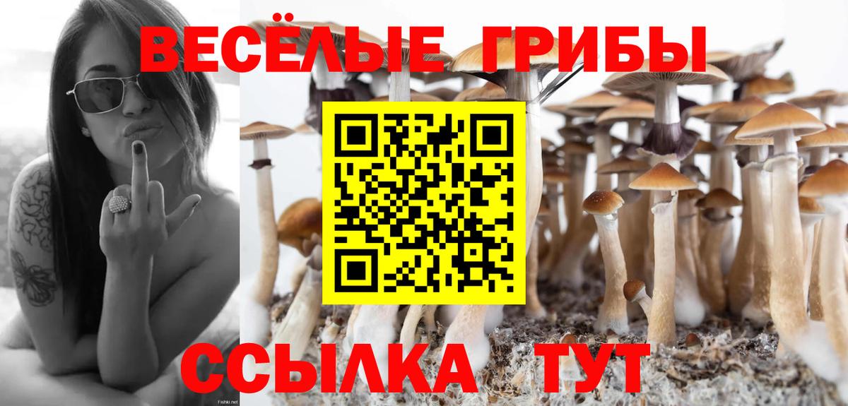 Псилоцибиновые грибы Cubensis  Вход с VPN  Печора 