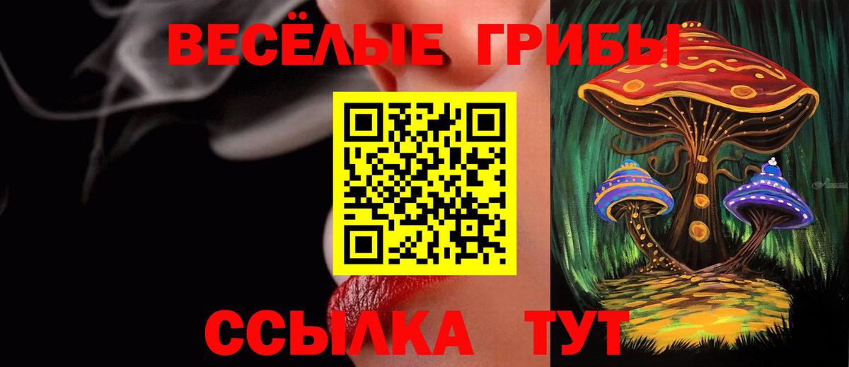ГАШ Печора