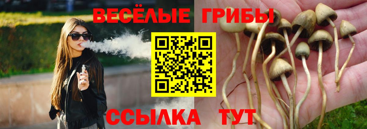 Галлюциногенные грибы ЛСД Печора